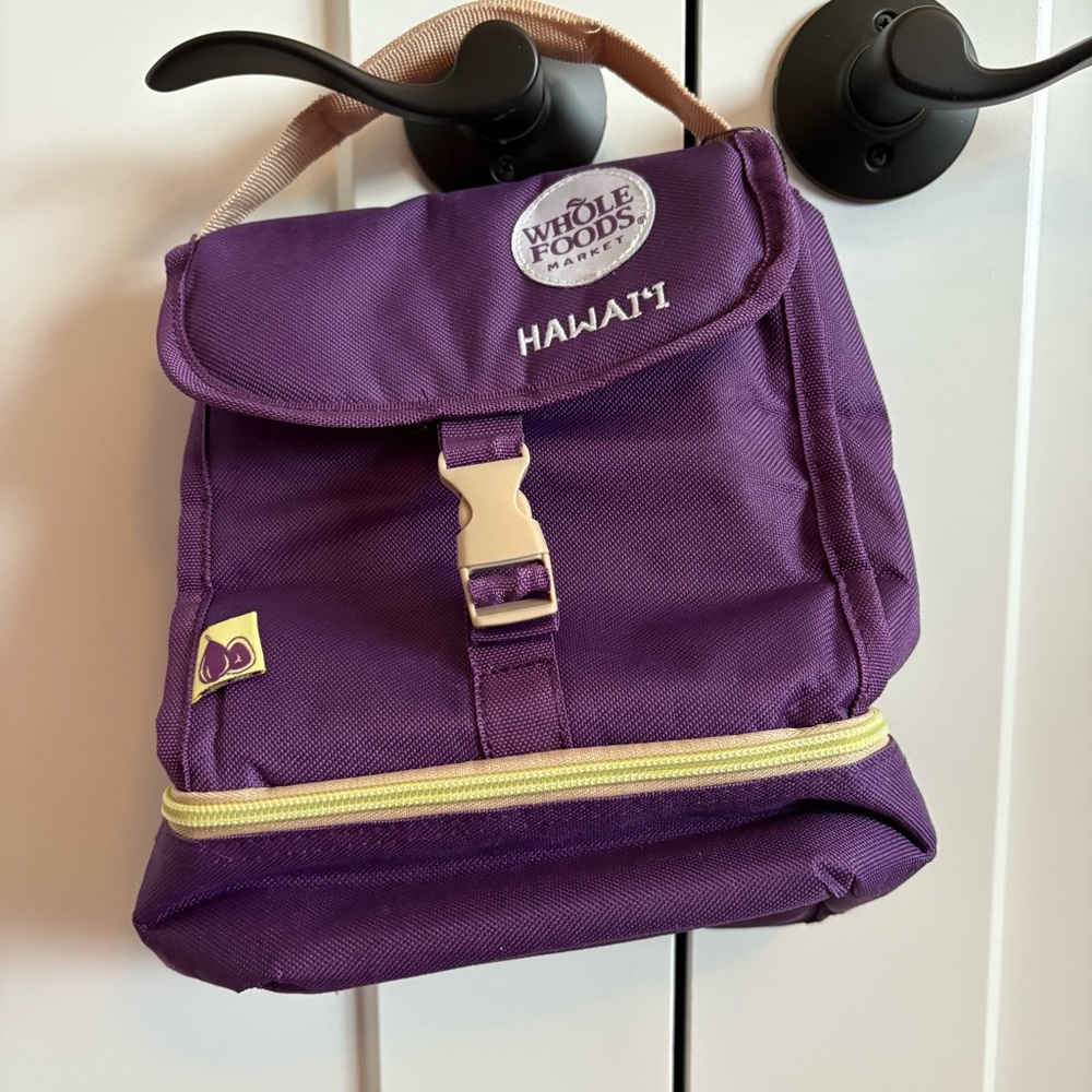 Like new, EUC, Whole Foods lunch tote. School, work, camping, picnic ready!
